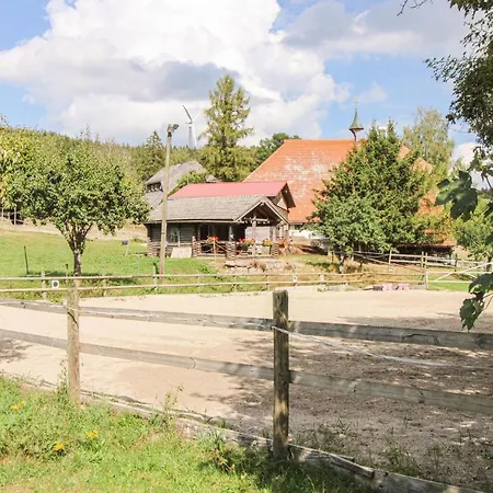 度假居 Bestaenderhof Schonach im Schwarzwald